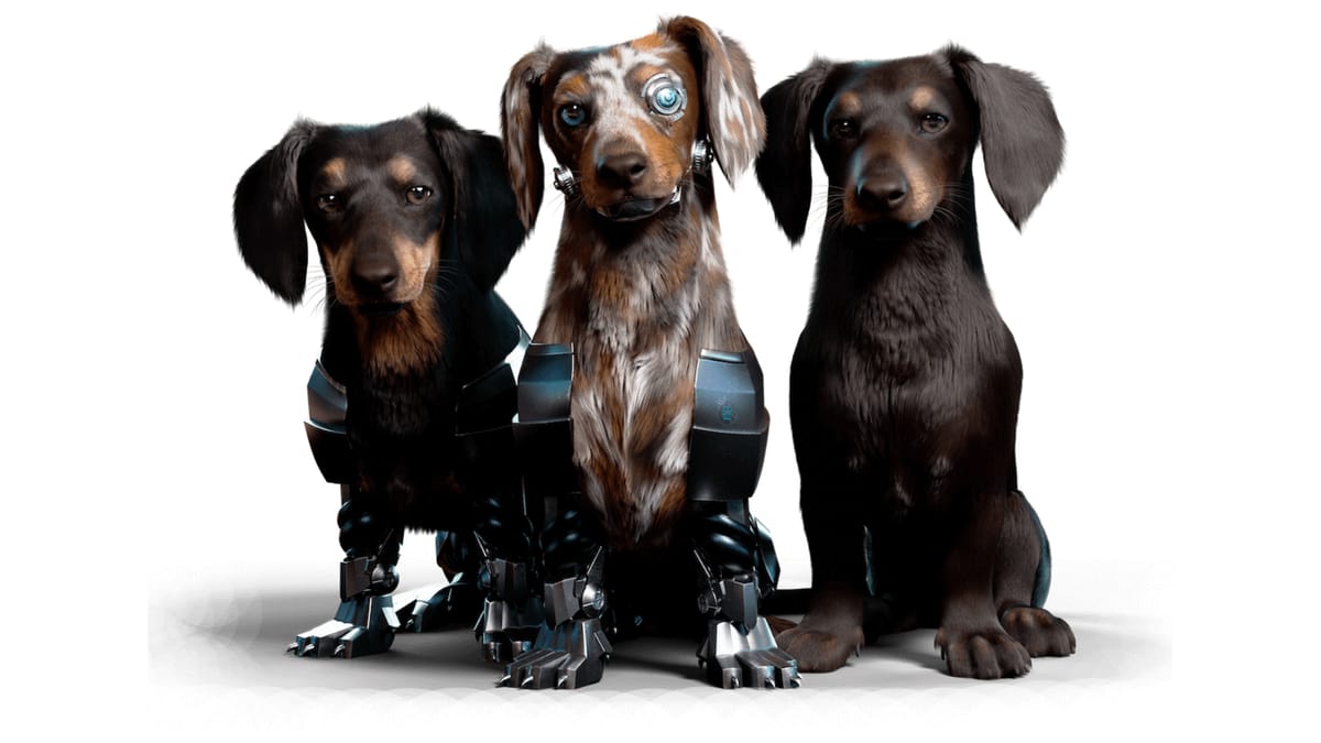Tel Aviv-Based Start-Up Develops Virtual Companions in the Metaverse