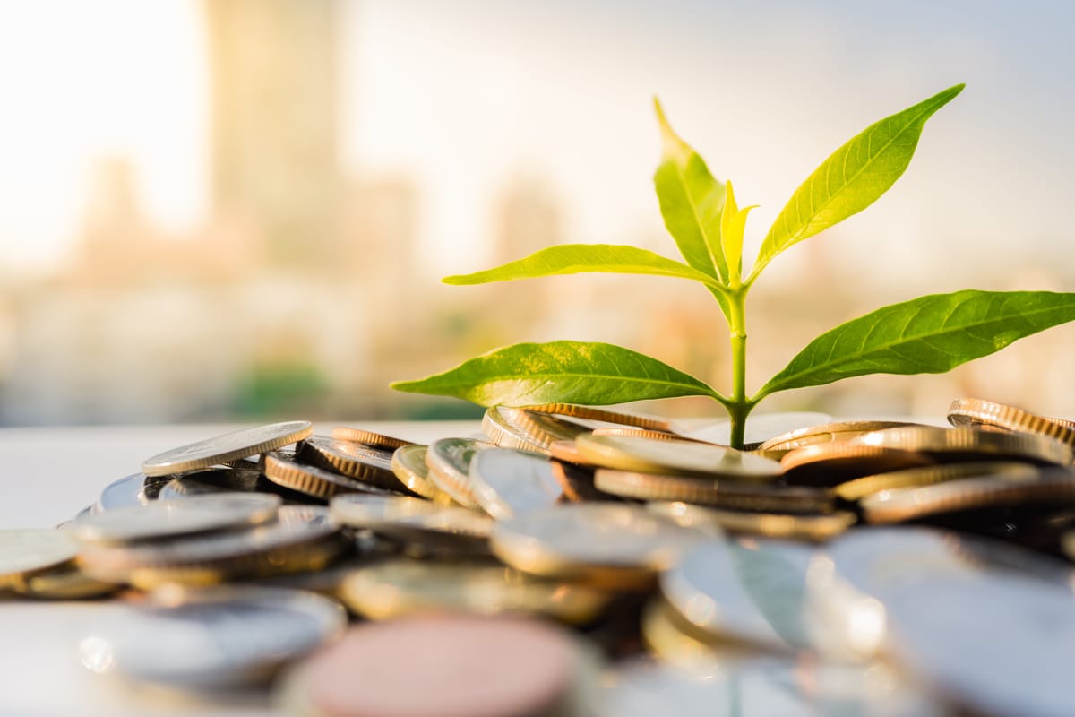 Businesses Face Challenges in Meeting ESG targets in the Middle East