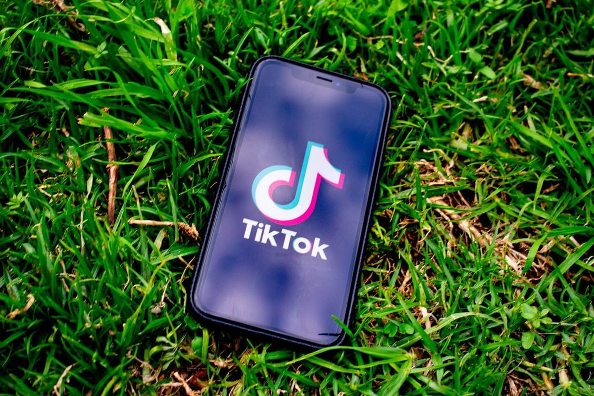 TikTok is testing 'Tako,' an in-app AI chatbot