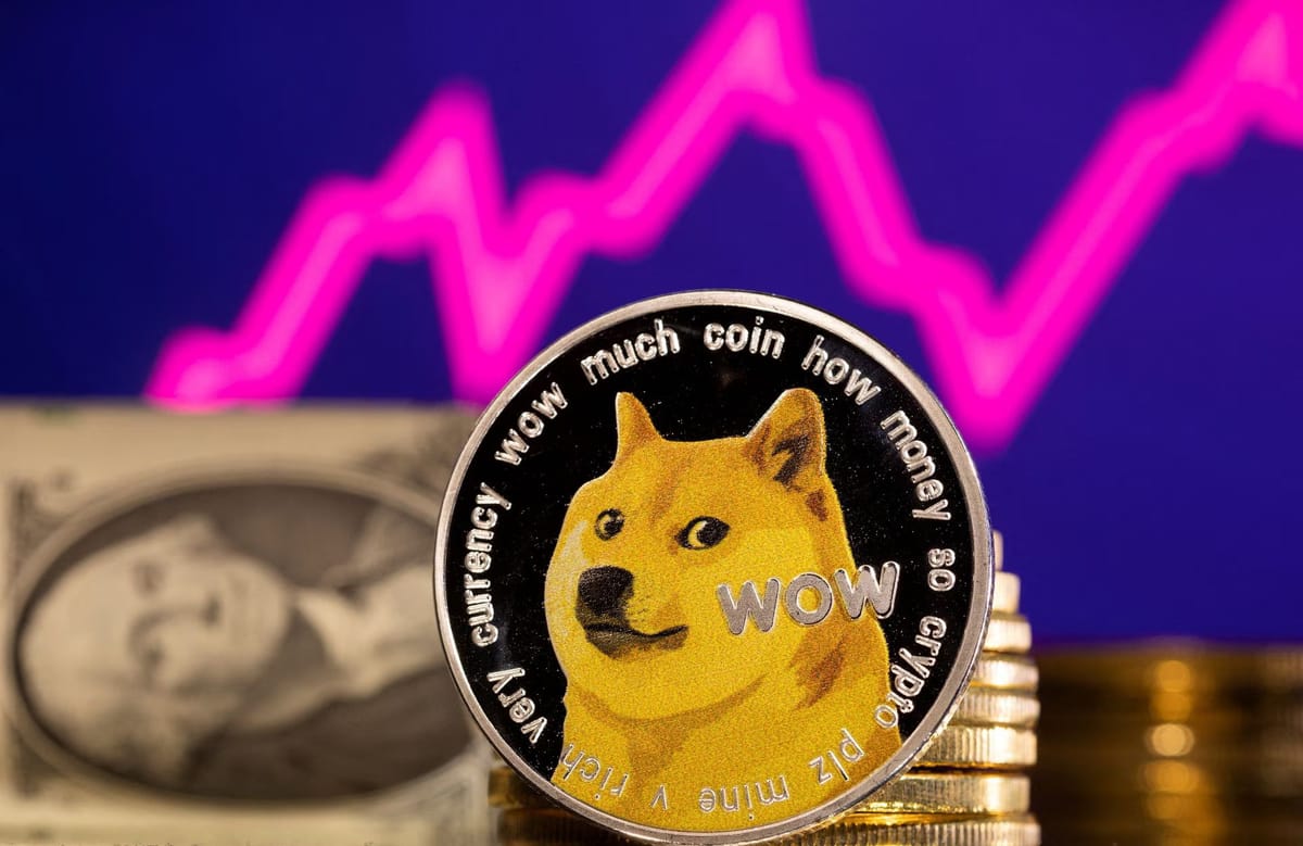 Investors accuse Elon Musk of manipulating Dogecoin