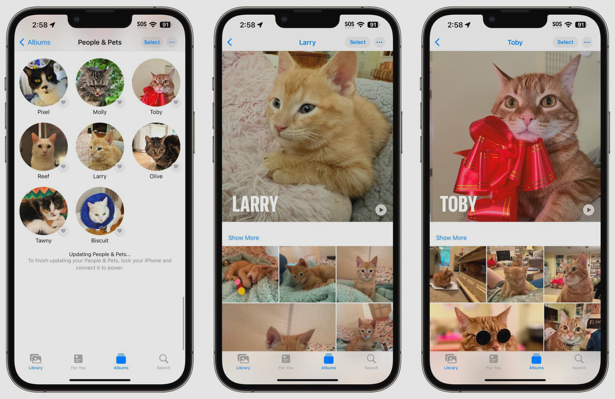 iOS 17 enhances Photos app with pet recognition feature