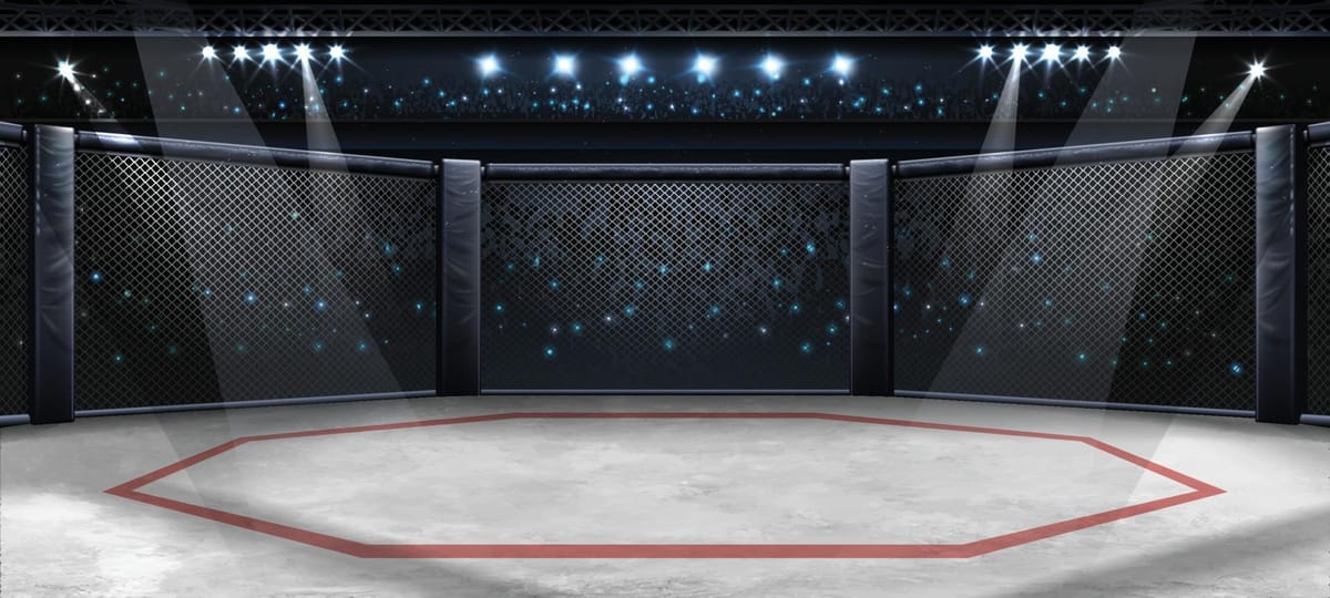 Elon Musk and Mark Zuckerberg to face off in epic cage fight
