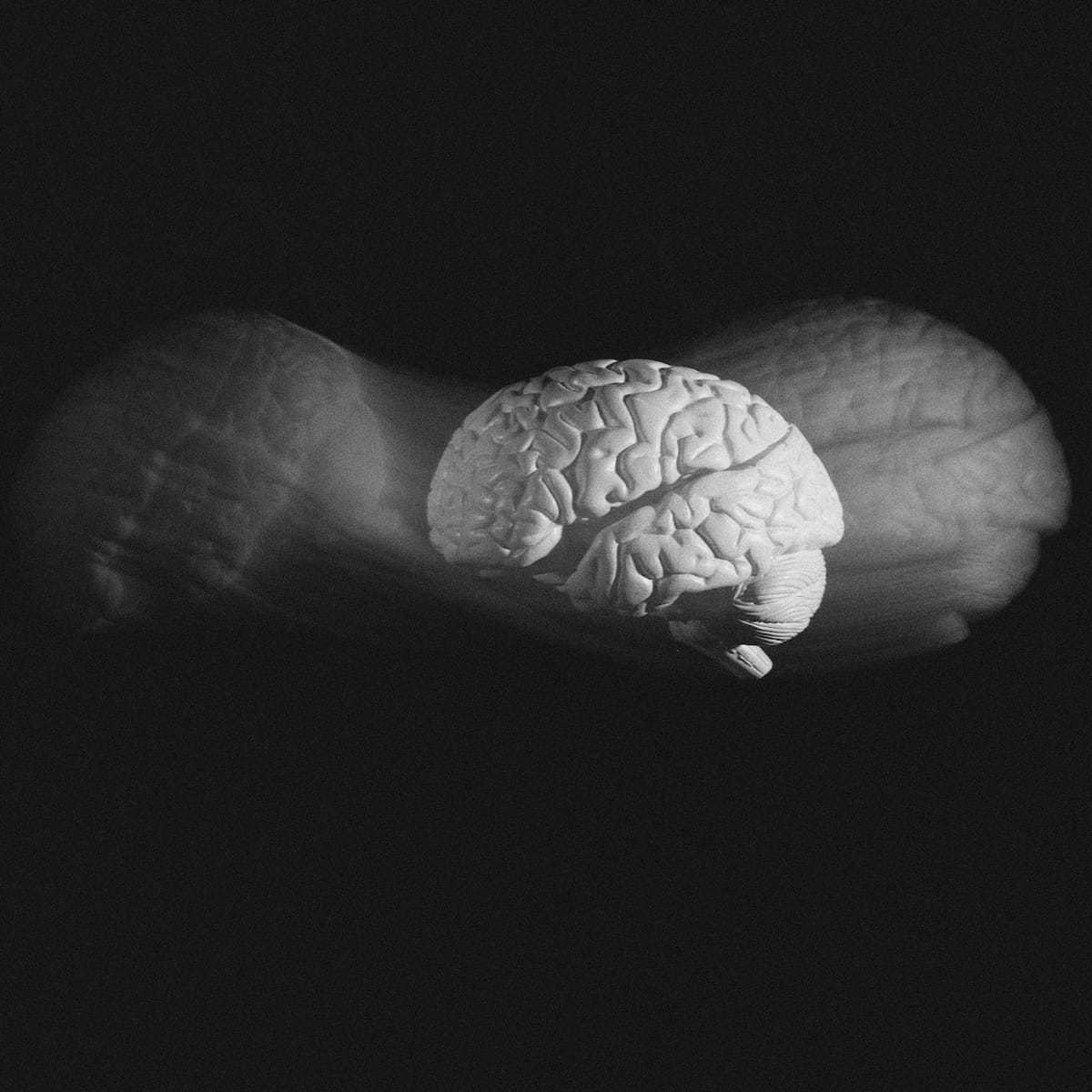 Researcher explores replacing parts of brain with cloned brain tissue to beat aging
