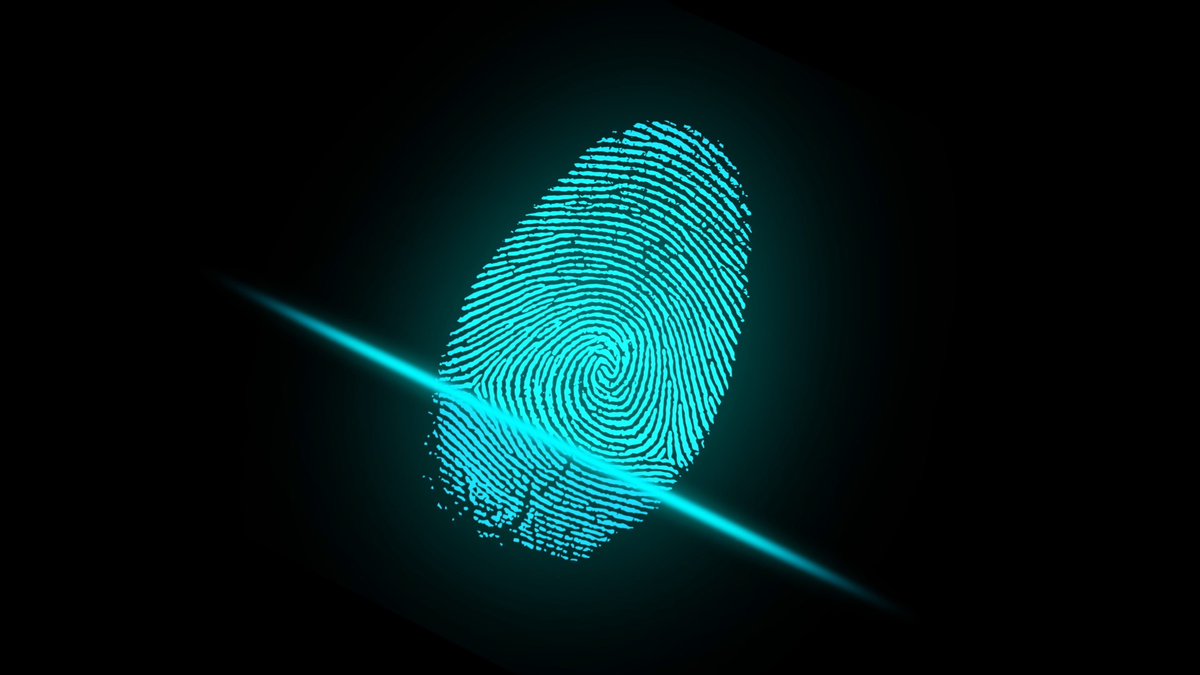 Phishing Attacks Surge to 900M in 2024