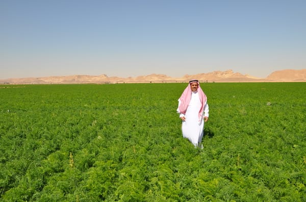 Halal Foodtech