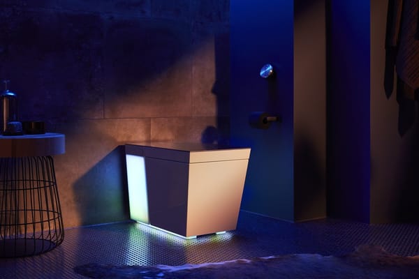 Smart toilet with backlight and voice assistant was estimated at $11.5 thousand