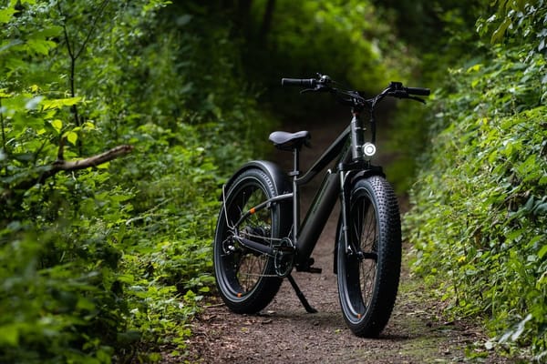 Rad Power Bikes partners with Redwood Materials to recycle e-bike batteries