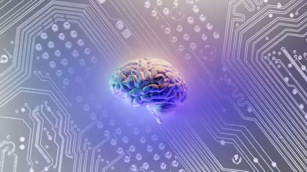 Chinese researchers develop robot controlled by human brain cells
