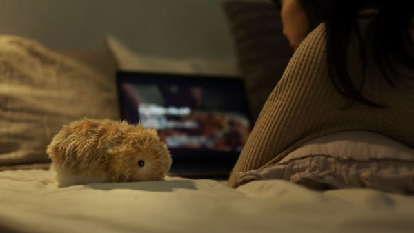 Casio unveils Moflin, a furry robot pet designed to calm and comfort users